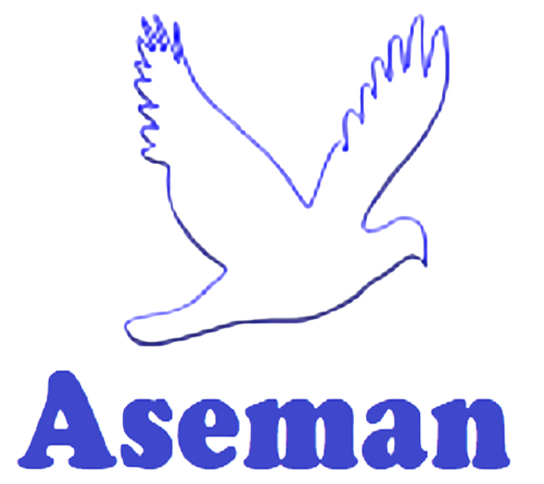 Aseman LLC